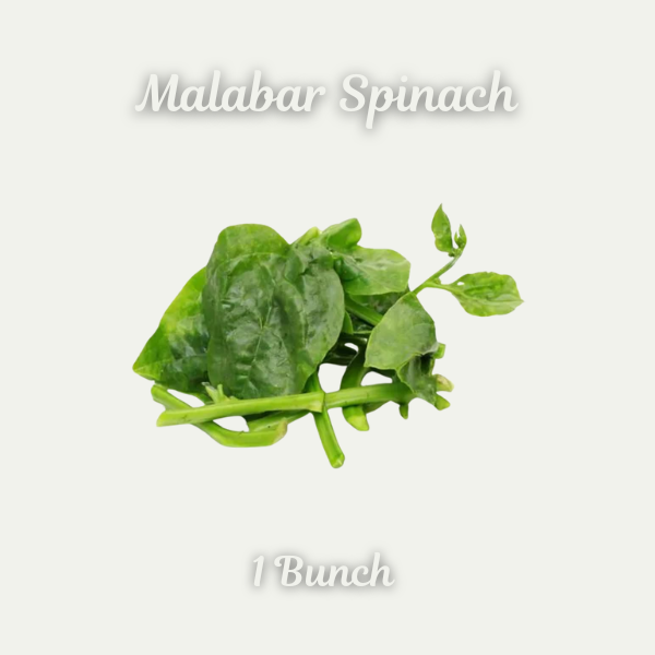 Malabar Spinach